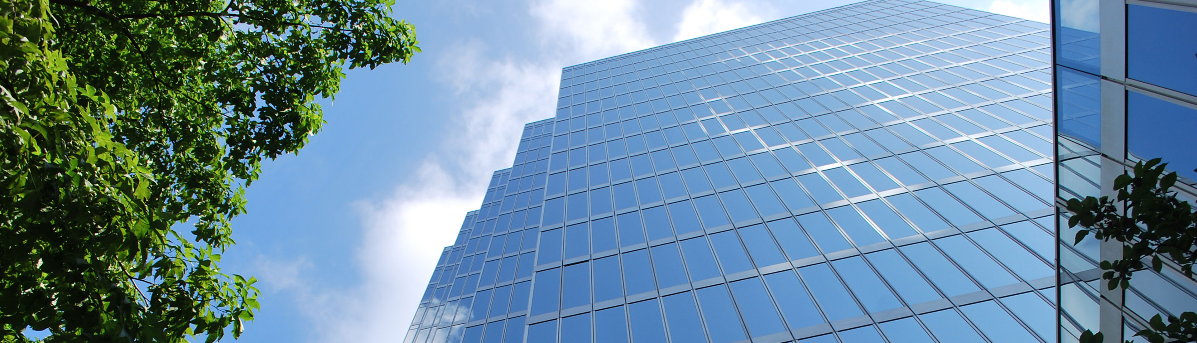 An exterior view of a glass-lined skyscraper looking up at the building, the tops of nearby green trees, and a blue sky above.