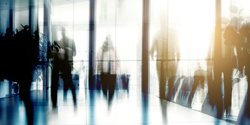 Raising Expectations on Climate, Diversity, and Governance