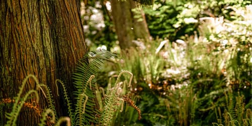 Driving Sustainable Growth